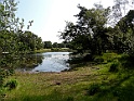 Buursermeertje [15497] 23-jun-2019 (Buurserzand, Buurse)